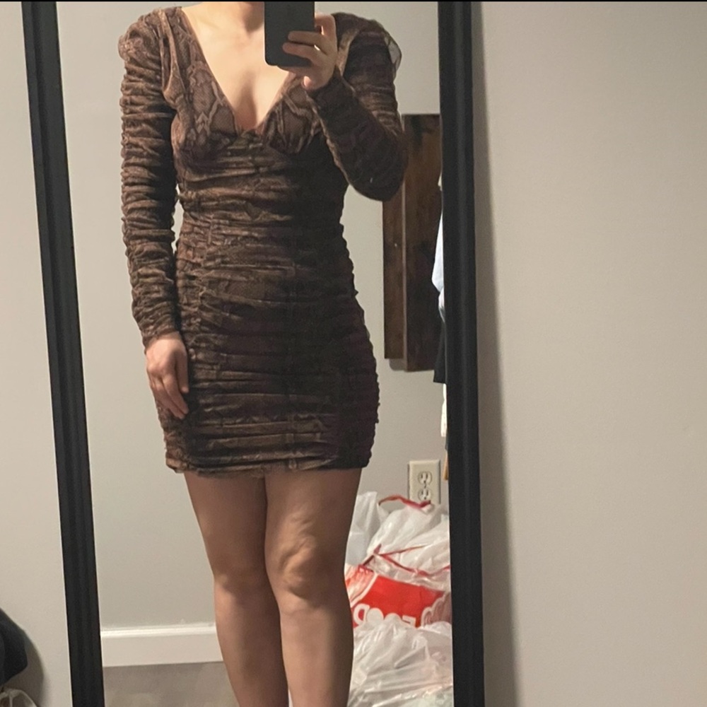 Zara dress